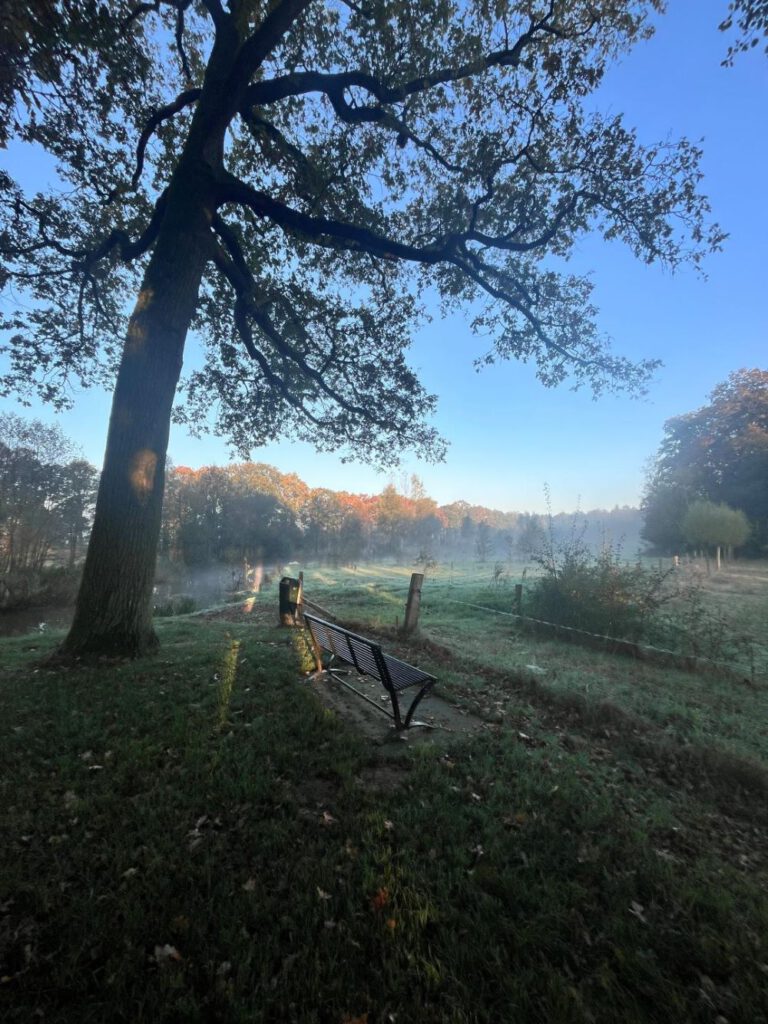 Boschheurne Galgenkamp