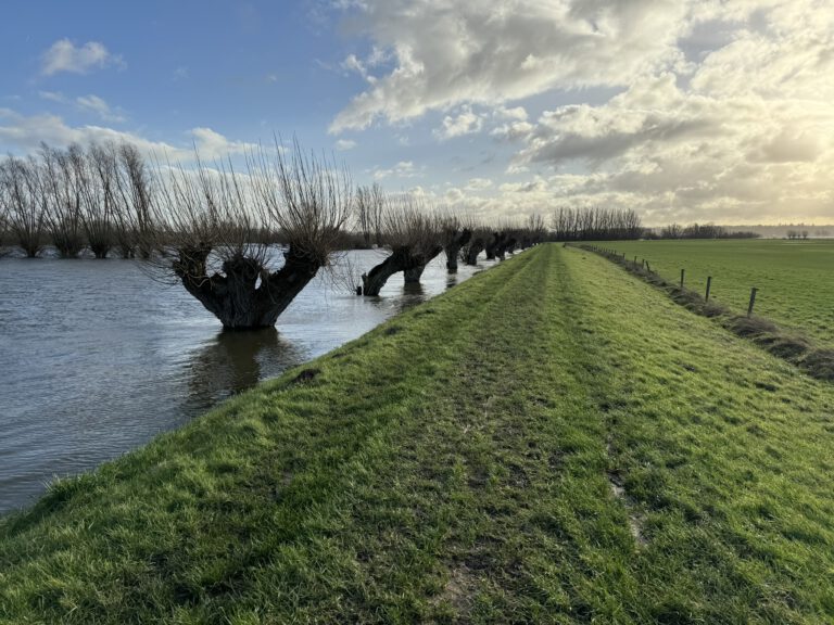 Bomendijk Wilp