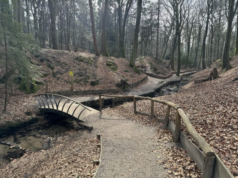 NS-wandeling Veluwezoom