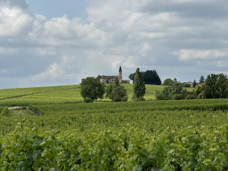Cluny – Mâcon (Bourgogne)