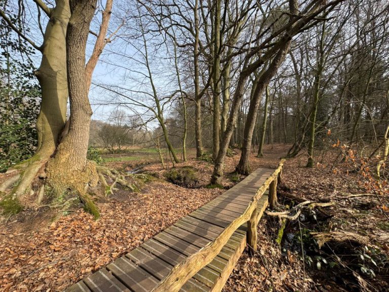 Ootmarsum Springendal