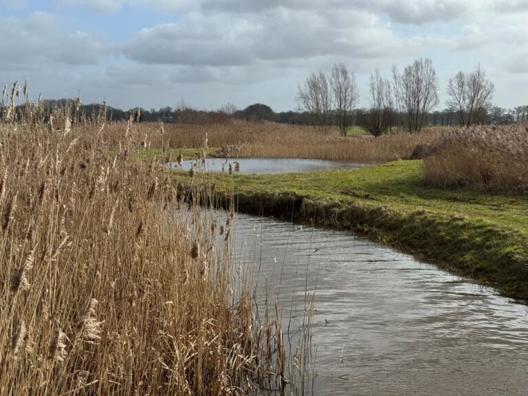 Vierbekenroute Dorth